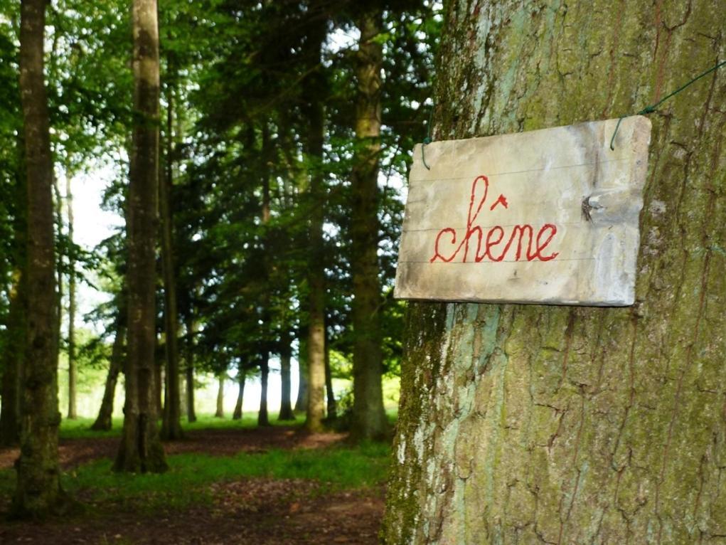 Chambres D'Hotes La Corne Aux Vaches Frétigney-et-Velloreille Exteriör bild
