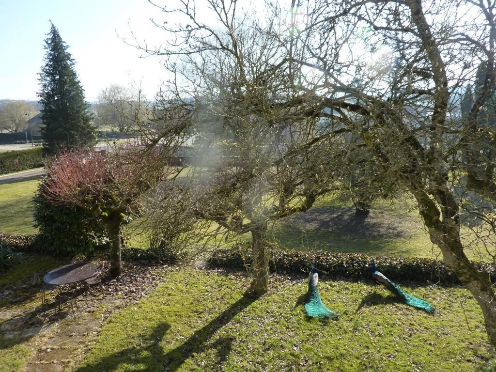 Chambres D'Hotes La Corne Aux Vaches Frétigney-et-Velloreille Exteriör bild